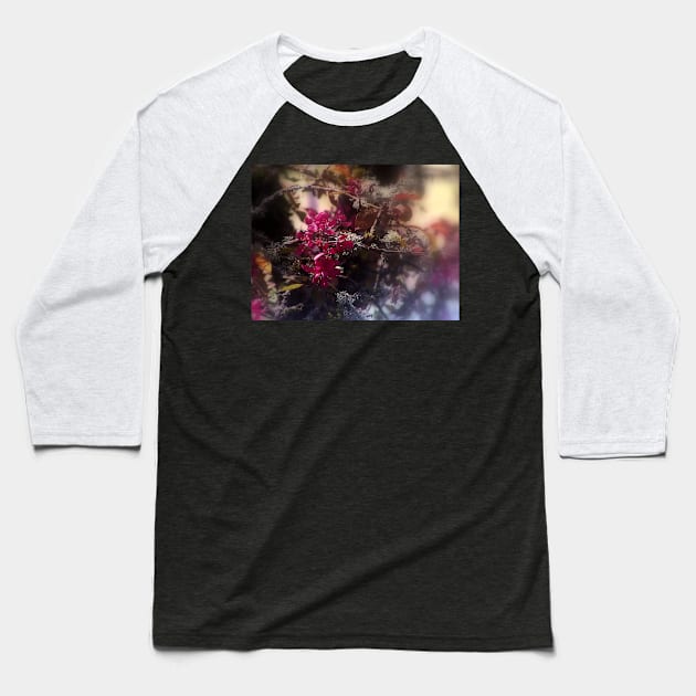 red Malus 'Radiant'  crab apple blossoms #2 Baseball T-Shirt by DlmtleArt